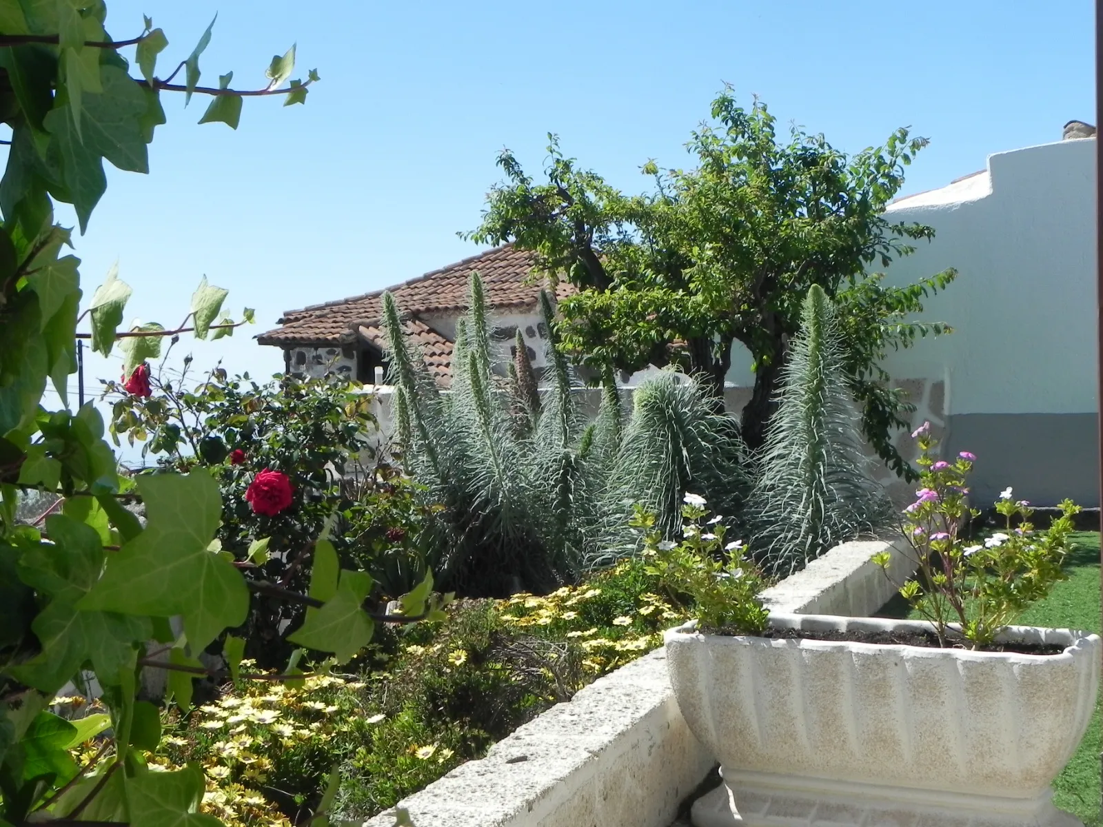 Casa Irma, alojamiento turístico en Adeje